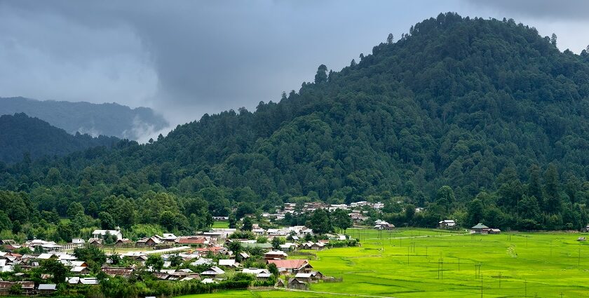 A cross-section of lush green valley in Ziro - places to visit in north east India