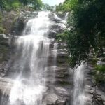 A view of the Aruvickachal Falls flowing down the rocks surrounded by lush greenery.