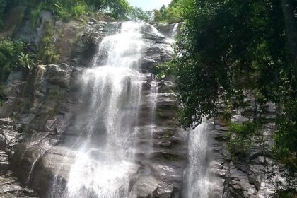 A view of the Aruvickachal Falls flowing down the rocks surrounded by lush greenery.