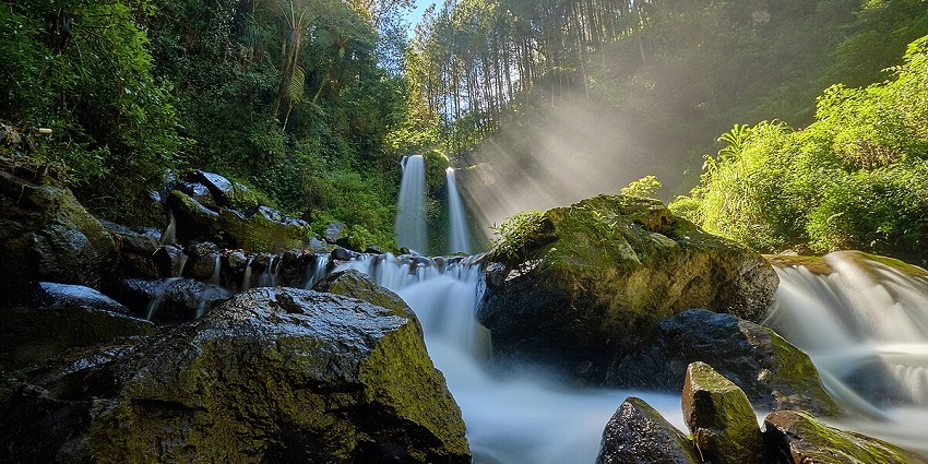 Beautiful waterfall surrounded by the scenic beauty of forest in the Pathanamthitta