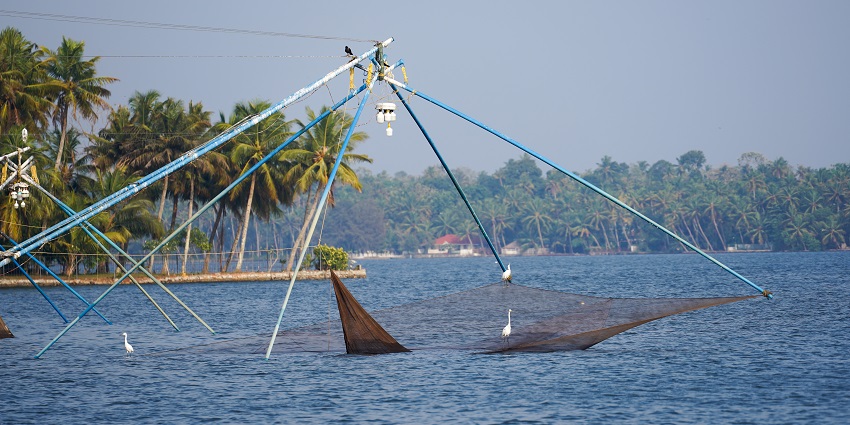 Fishing nets laid out in a lake