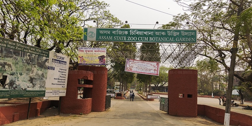 Assam State Zoo is one of the most famous zoos in India among wildlife enthusiasts.