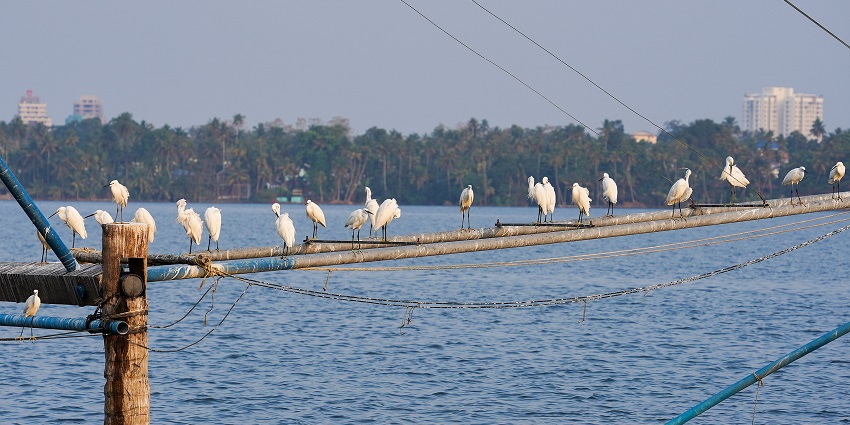 One of the most tranquil offbeat places in Kerala