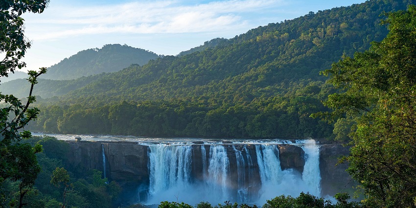 A scenic view of the lush green forests surrounding the Athirappilly Falls in Kerala