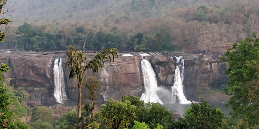 Among places to visit near Guruvayur, this is a mesmerising beauty with biodiversity.