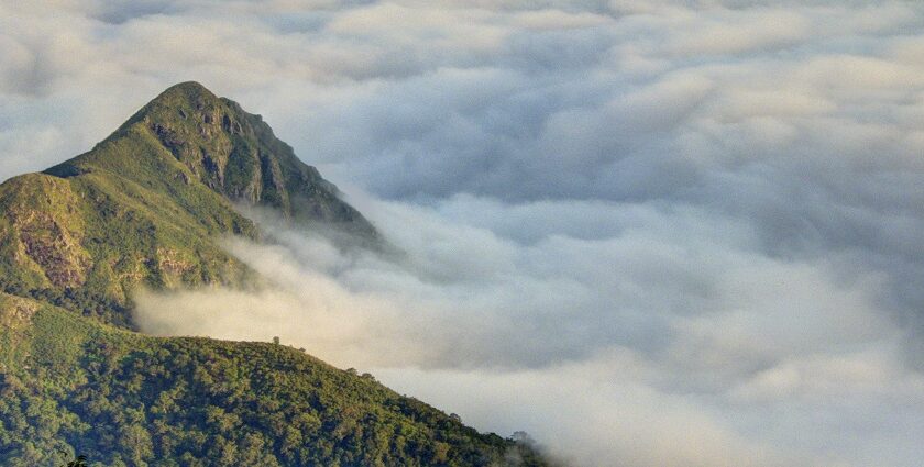 View from the Nilgiris towards Attapadi