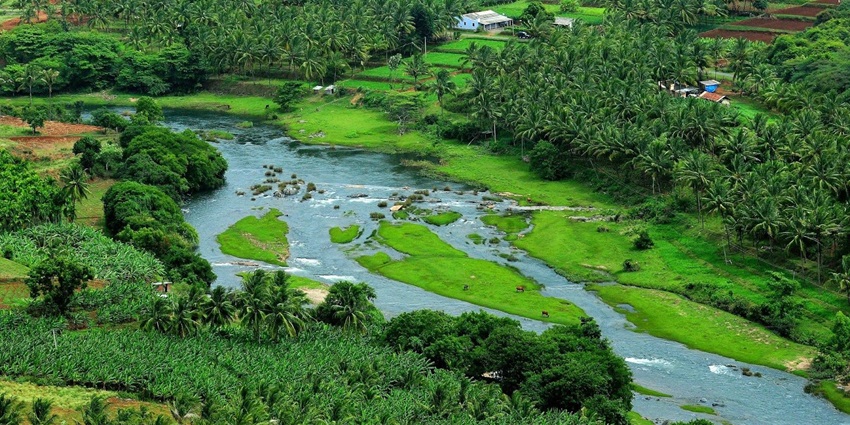 An idyllic view of the Attappady Reserve Forest featuring lush, manicured valleys.