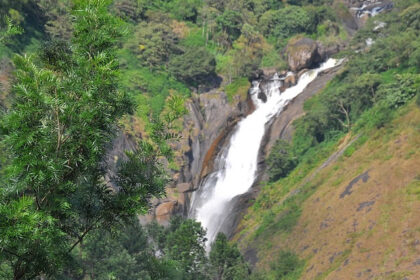 Explore the scenic jungle and wild flora and fauna near the Attukad waterfalls