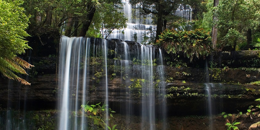 Enjoy the scenic view of the foggy Attukal Falls - one of the best places to visit near Munnar