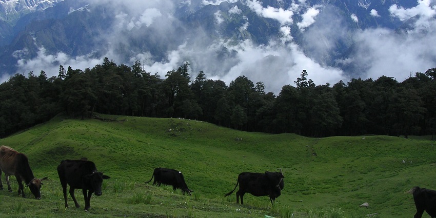 Relish the view of snow-clad peaks of hill stations in North India on your next trip