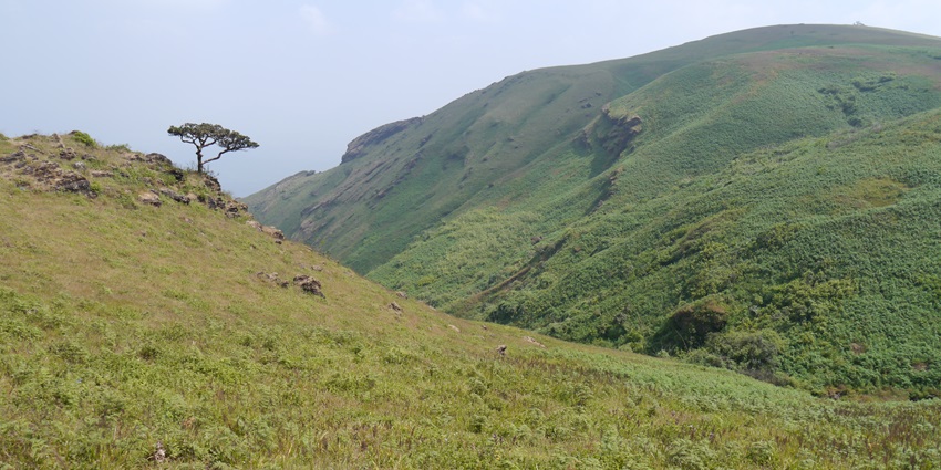 Baba Budangiri: Scenic view of mountain range with lush greenery and misty atmosphere.
