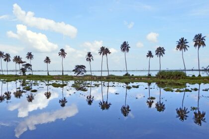 Kottayam backwater with lush greenery - places to visit in Kottayam for couples.