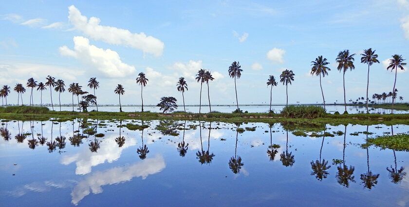 Kottayam backwater with lush greenery - places to visit in Kottayam for couples.