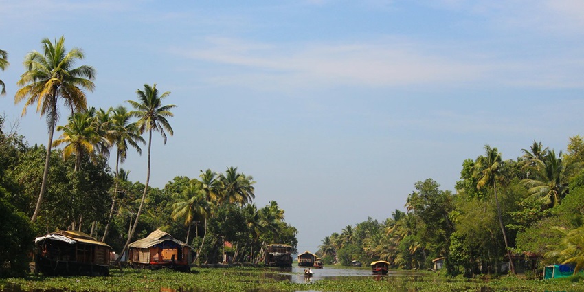 River with palm trees and houses in Alleppey - places to visit in Alleppey for couples