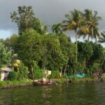 Beautiful Alleppey backwaters surrounded by greenery - places to visit in monsoon in India