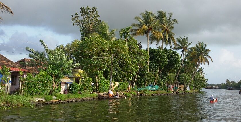 Beautiful Alleppey backwaters surrounded by greenery - places to visit in monsoon in India