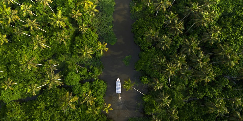 Cruise through the scenic backwaters of Alleppey studded with lush green palm trees.