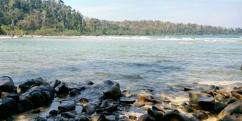 A beautiful view of clear blue water with green trees on one side and rocks on the shore.