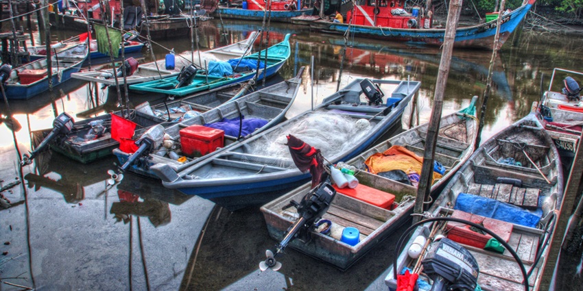 Kuala Selangor is a charming town known for its historic sites and natural beauty.