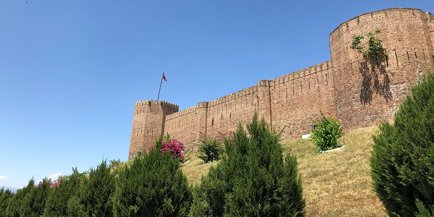 View of Bahu Fort with lush green plants all around and a backdrop of clear blue skies