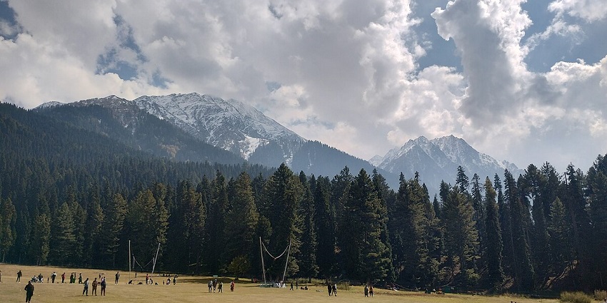 View of Baisaran, one of the riveting places to visit in in Pahalgam with dense forests