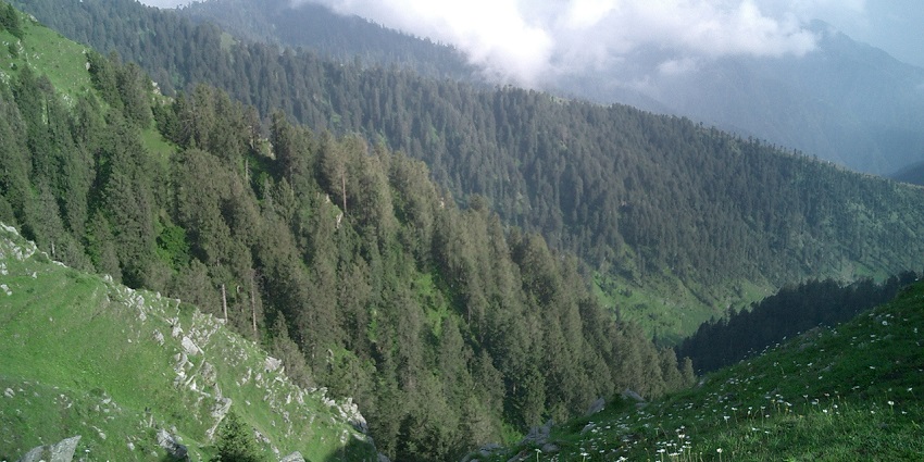 Taking leisurely walks at Bakrota Hills is one of the best things to do in Dalhousie.