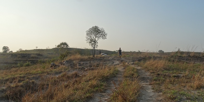 Balpakram National Park is home to several endangered species, green valleys, and more.