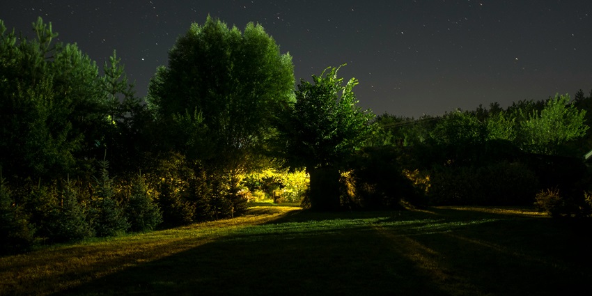 A breathtaking night view of a garden with lush green trees and light coming through.