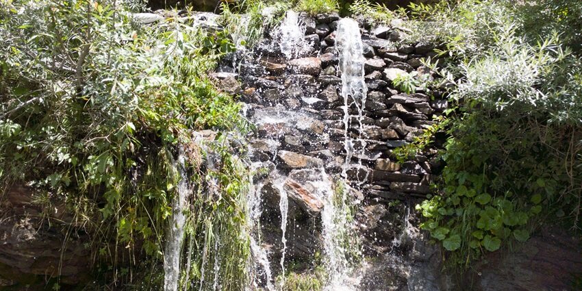 Scenic view of waterfall fall amidst the lush jungle in Bir - Things to do in Bir, Himachal