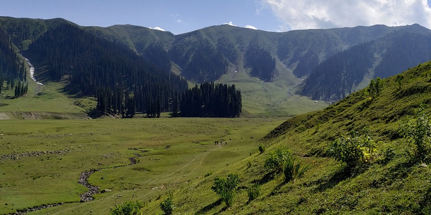 Bangus Valley of Kupwara is adorned with lush greenery, pine trees and snow-capped peaks.