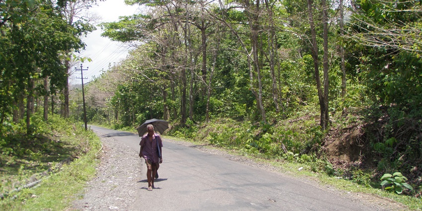 Witness the spectacular caves and gushing streams while exploring this tropical land.