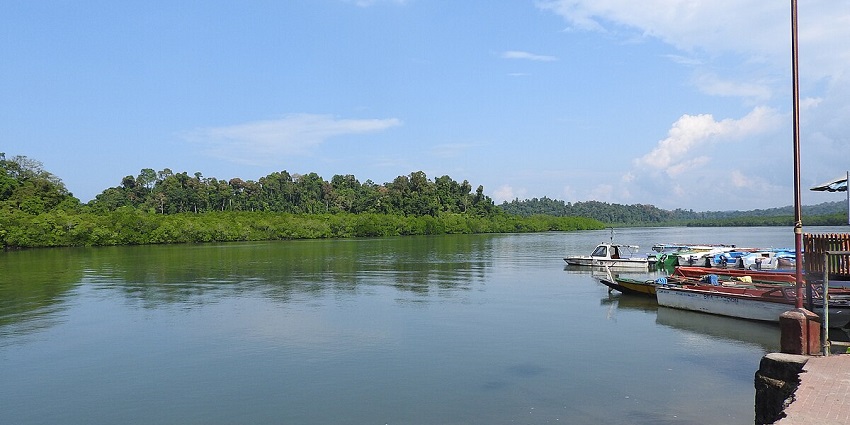 Baratang Island: Tranquil water lake surrounded by lush green forest - near to Parrot Island