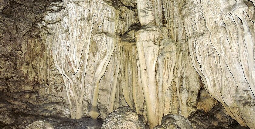 Baratang Island Limestone Caves is the hotspot of Andaman that has an old-world charm.