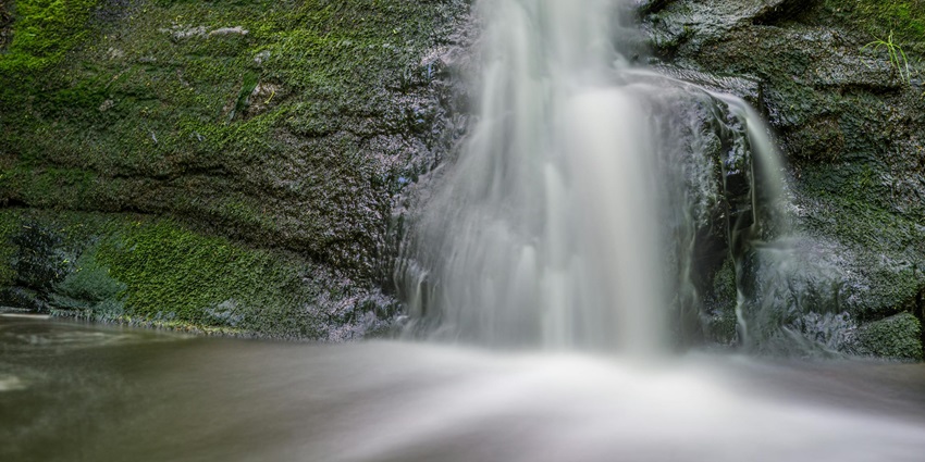 A view of a waterfall in Kerala with free-flowing water surrounded by lush greenery.