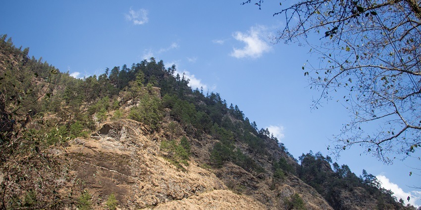 Barren hills of Vagamon, standing tall - Near the Camping site in Vagamon