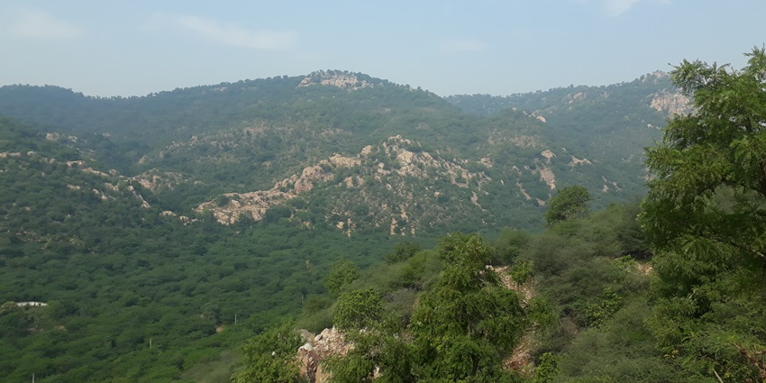 One of the best places to visit near the biggest Fort in India is the Bassi wildlife sanctuary