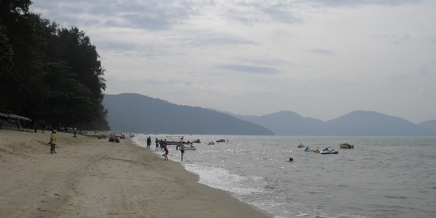 Things to do in Penang: explore vibrant butterflies in lush, tropical surroundings.