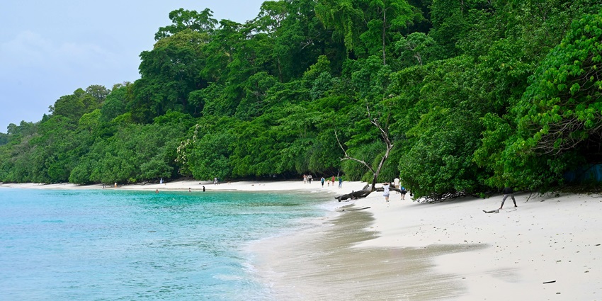 Image of Pristine Beach in Andaman and Nicobar Islands - explore beach