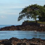 A splendid view of the Corbyn’s Cove Beach in Andaman. The water is calm along the shore.