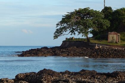 A splendid view of the Corbyn’s Cove Beach in Andaman. The water is calm along the shore.