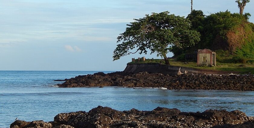 A splendid view of the Corbyn’s Cove Beach in Andaman. The water is calm along the shore.