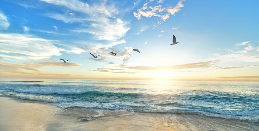 A breathtaking view of a beach in Sharjah with the sun reflecting on it during the evening.