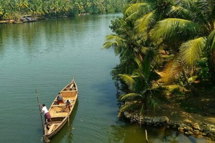 Plan a trip to Kerala and experience its natural beauty of lush greenery and beaches.