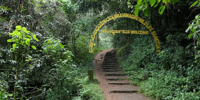 One of the best wildlife sanctuaries in Kerala, this is amongst the highly visited state animal sanctuaries.