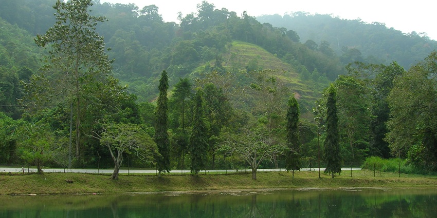 Bentong: quaint town known for its natural attractions - places to visit near Kuala Lumpur