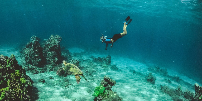 Man in the blue water diving along with the sea turtle during scuba diving in Port Blair