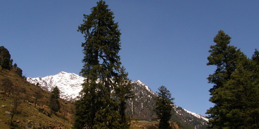 Image of Betaab valley, Pahalgam, Kashmir with its scenic landscape - places to visit in Srinagar