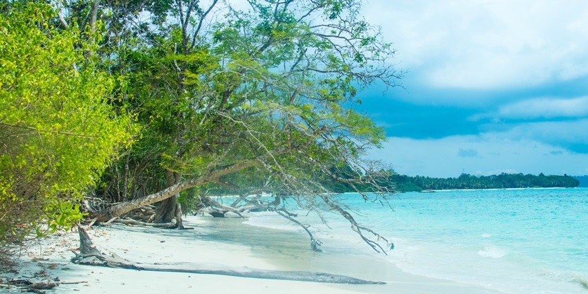 Image of Bharatpur beach, Niel Island,Andaman Islands, India - places to visit near Laxmanpur beach