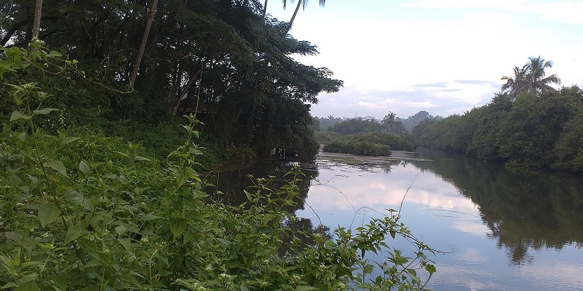 Sarovaram Biopark showcasing diverse flora and fauna in a serene, natural setting.