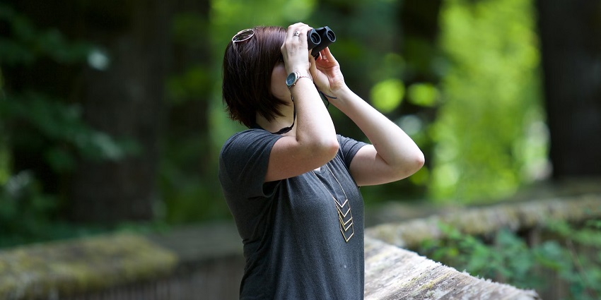 The view of a tourist with binocular birdwatching, enjoying avian wonders on Parrot Island